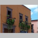 001 Flowers above a Pharmacy.jpg